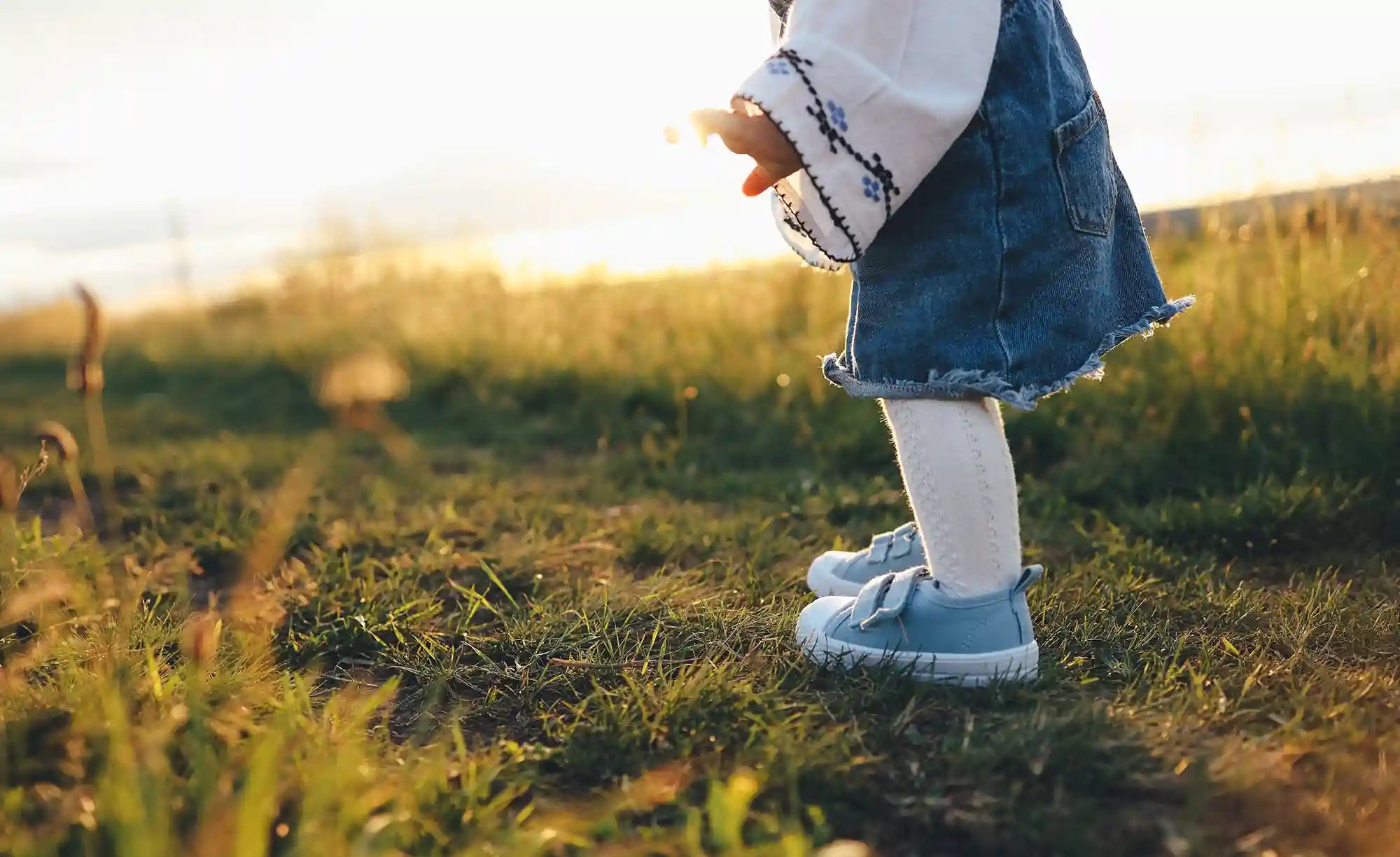 Die Purimgeschichte nicht rückwärts lesen