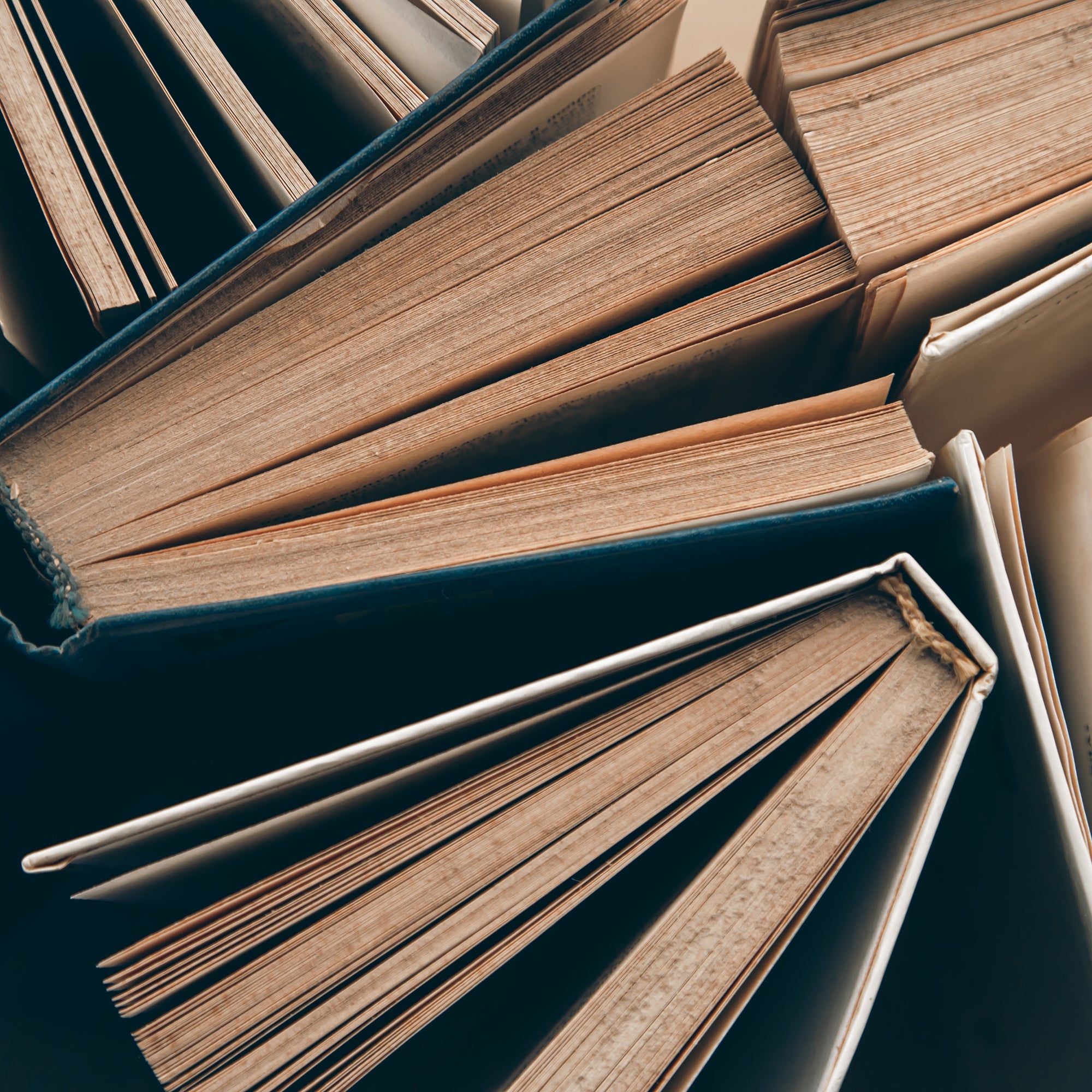 Warum Bücher Brücken bauen – Jüdisches Wissen im modernen Kontext