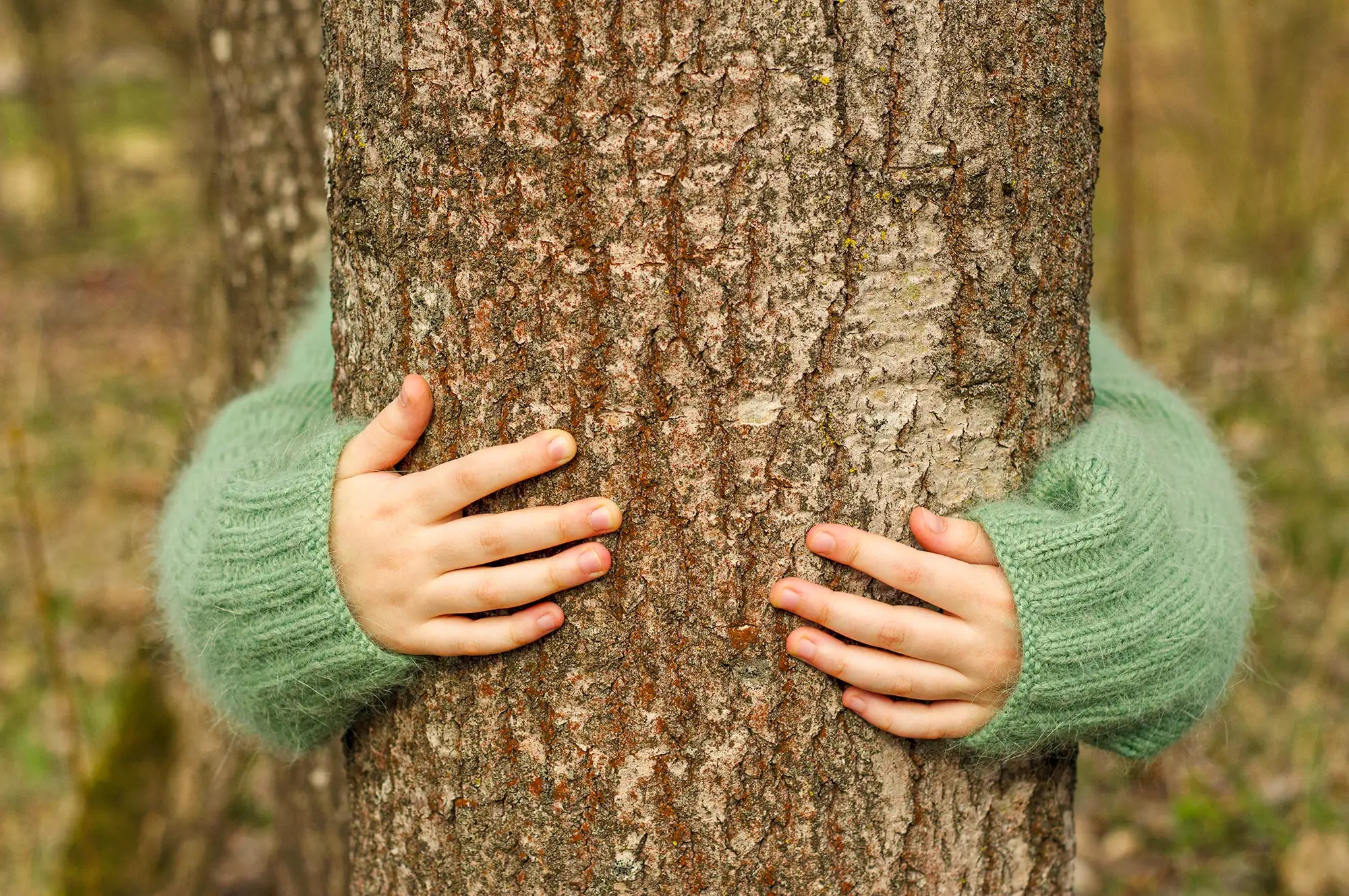 Schönes für Kinder