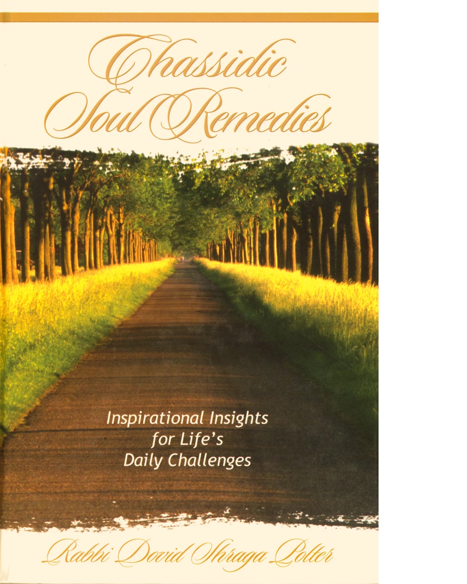 Chassidic Soul Remedies. Inspirational Insights for Life’s Daily Challanges