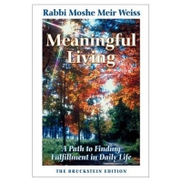 Meaningful Living  